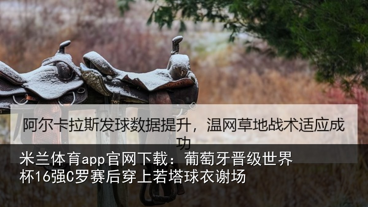 米兰体育app官网下载:葡萄牙晋级世界杯16强罗相关情况谢场