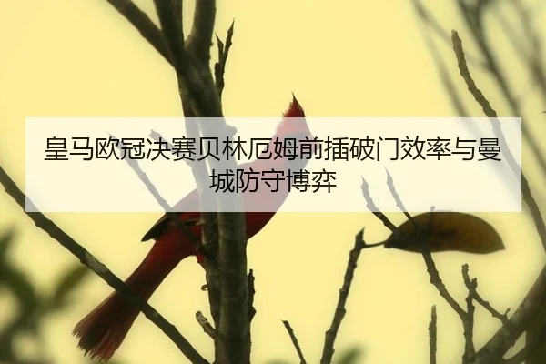 huang-ma-ou-guan-jue-sai-bei-lin-e-mu-qian-cha-po-men-xiao-lv-yu-man-cheng-fang-shou-bo-yi-3-449.jpg
