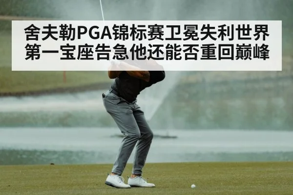 舍夫勒PGA锦标赛卫冕失利世界第一宝座告急他还能否重回巅峰